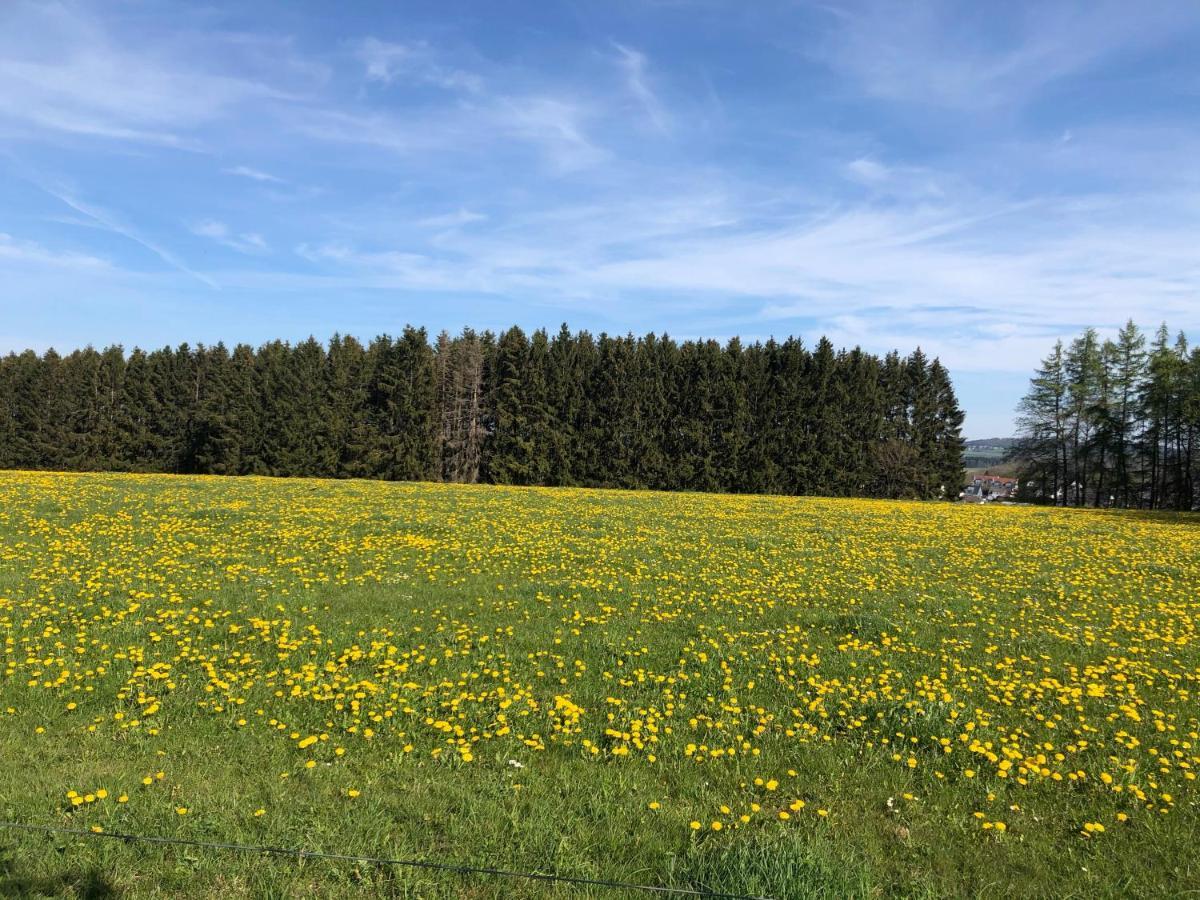 Ferienwohnung Am Wald Hachenburg Exteriér fotografie